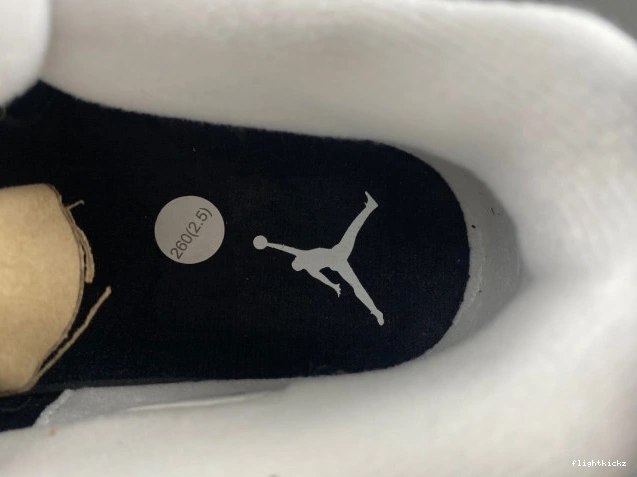 4 Air FQ8138-002 Jordan Fear 1102